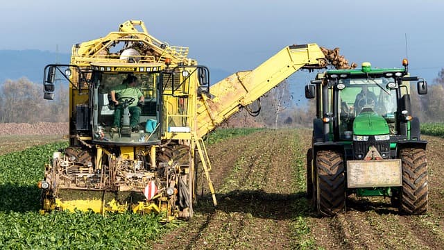 Les outils de ferme indispensables pour une production optimale