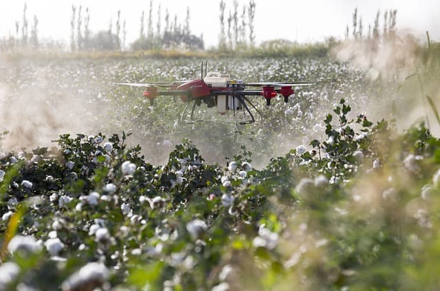 Les outils de culture pour une agriculture durable