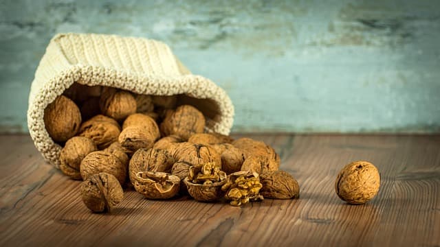 Les outils de ferme à adopter pour une agriculture biodynamique