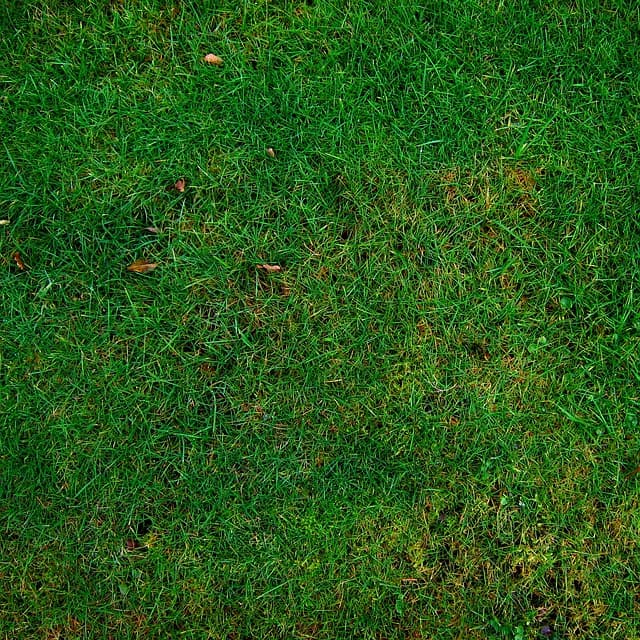 Les outils de ferme pour réussir votre jardinage écologique