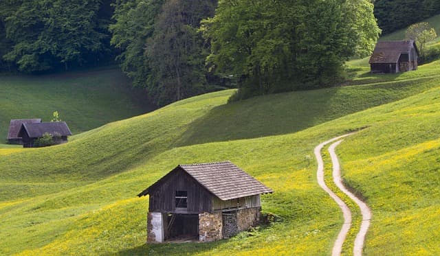 Comment bien entretenir vos outils de ferme pour une durabilité optimale