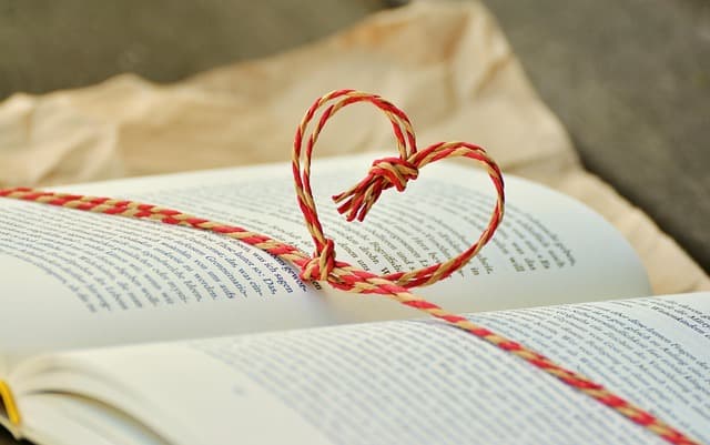 Comment choisir les meilleurs outils de désherbage pour votre ferme