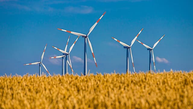 Les outils de ferme à adopter pour l'agriculture durable